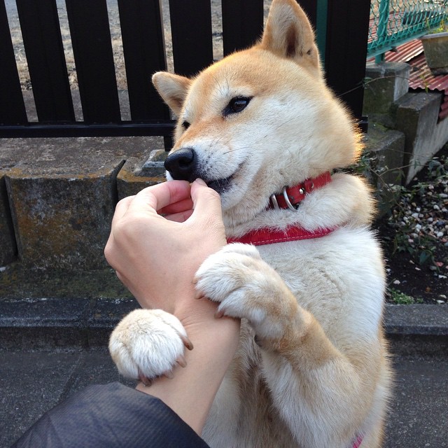 体育场馆设施智能维护计划,体育场馆内部设施维护管理