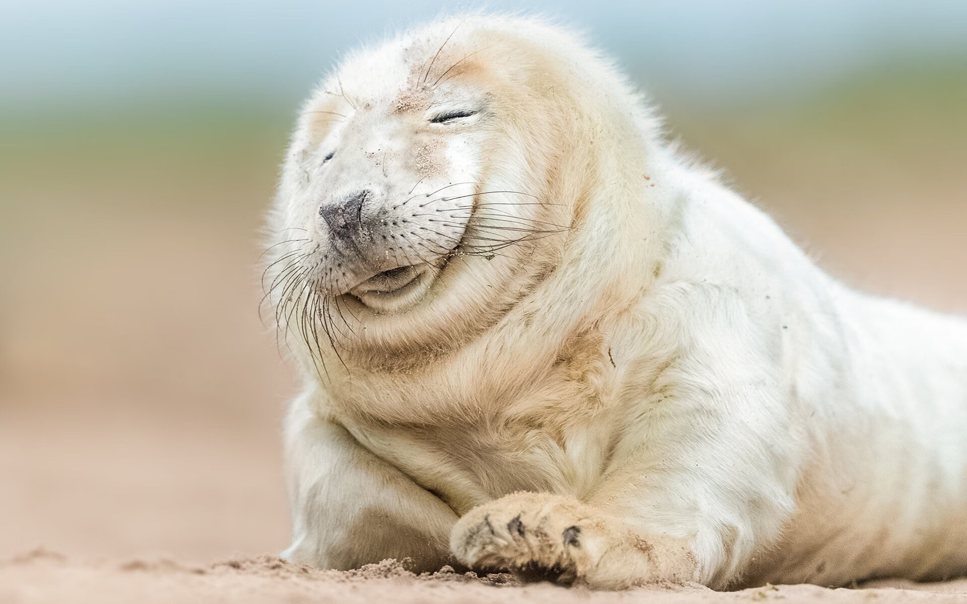 开云体育入口-基层足球教练资源匮乏问题严重，足球基层教练现状