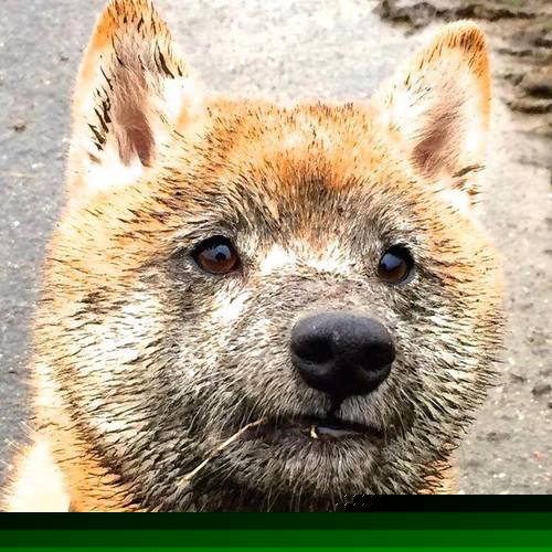 开云体育app入口-广东队管理层谈球队未来规划和发展，广东球队人员名单