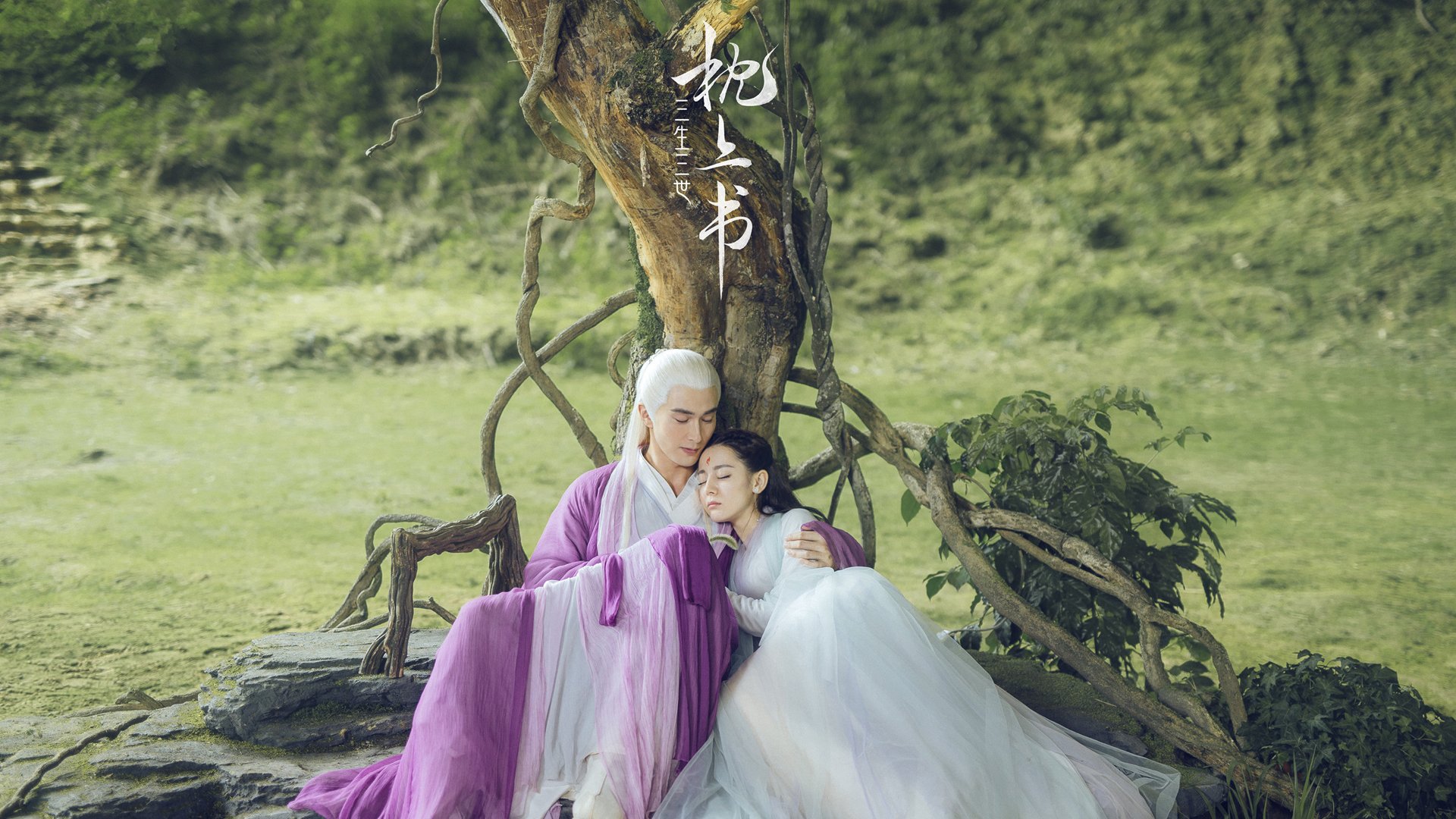 瑞典队在2024年混合团体世界杯中的坚持与突破，瑞典世界杯赛程