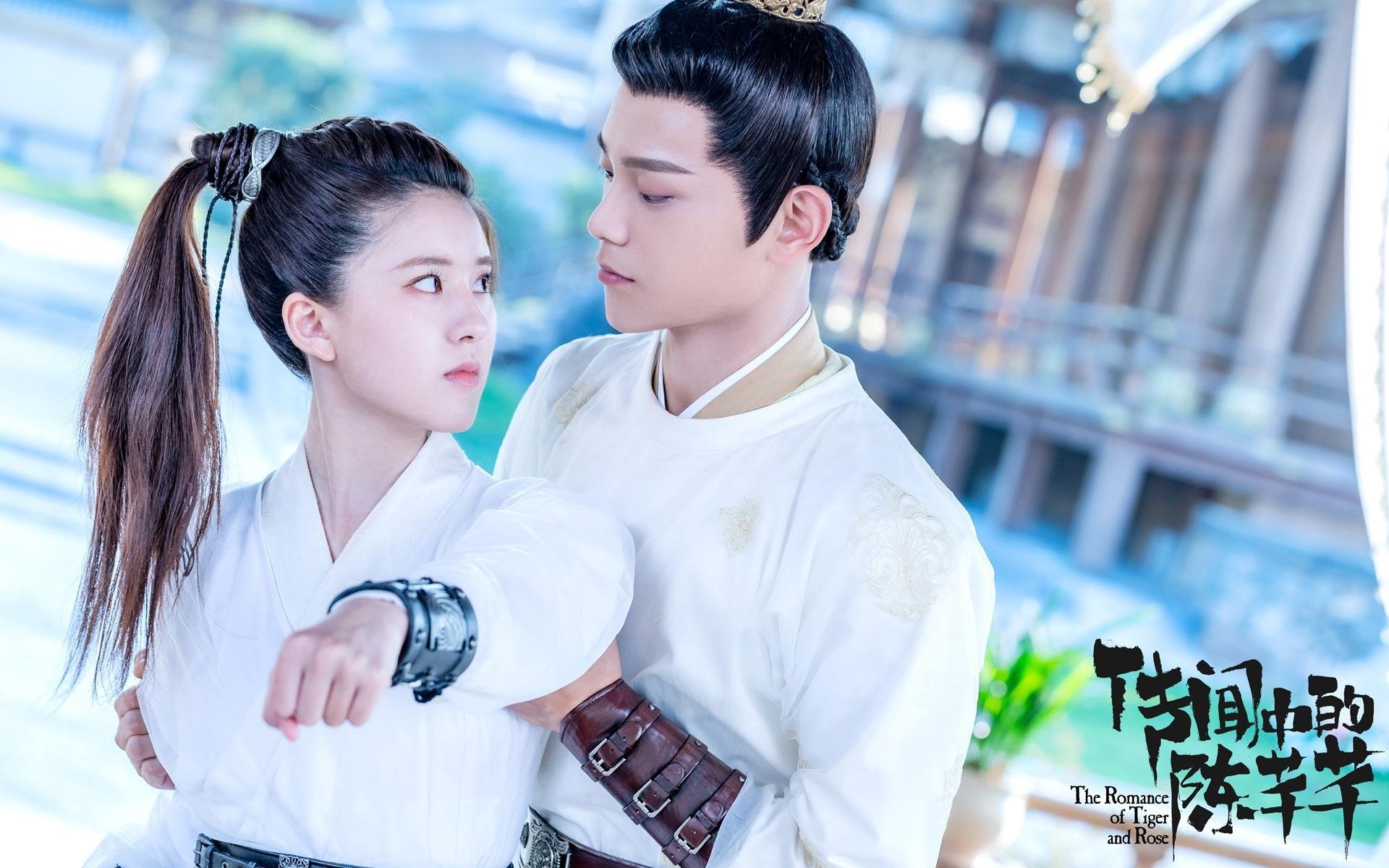 中国足球青训梯队建设标准化推进,中国足球青训体系是什么