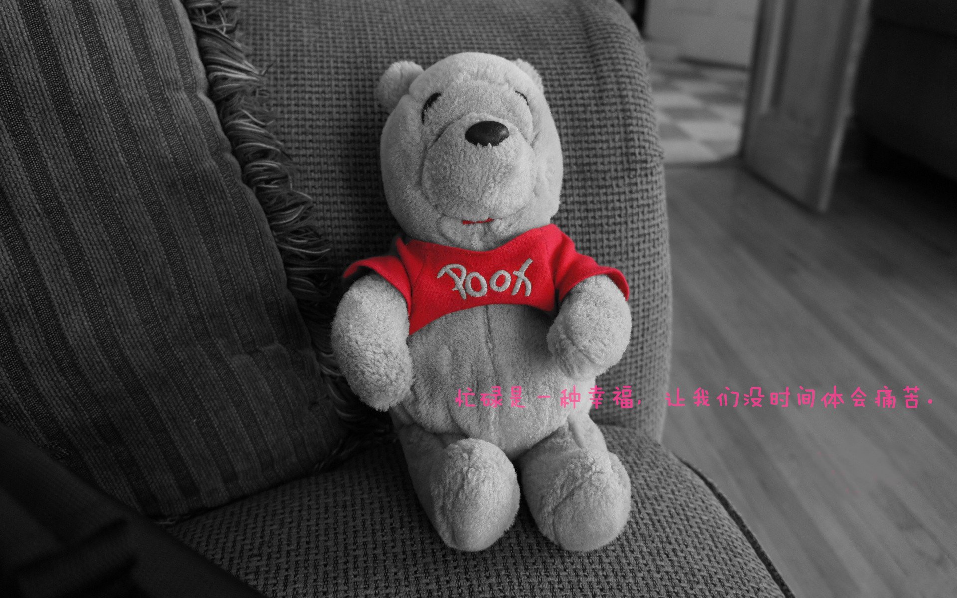 国家武术管理中心发布新武术套路培训教材，国家武术管理中心发布新武术套路培训教材了吗