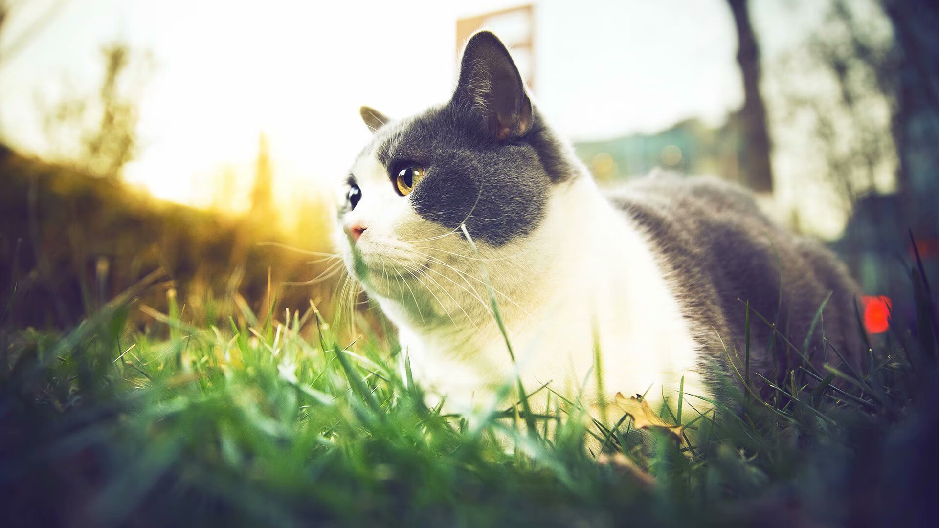 开云体育在线登入-女子篮球青训强调实战对抗提升综合应变能力，女子篮球队训练内容