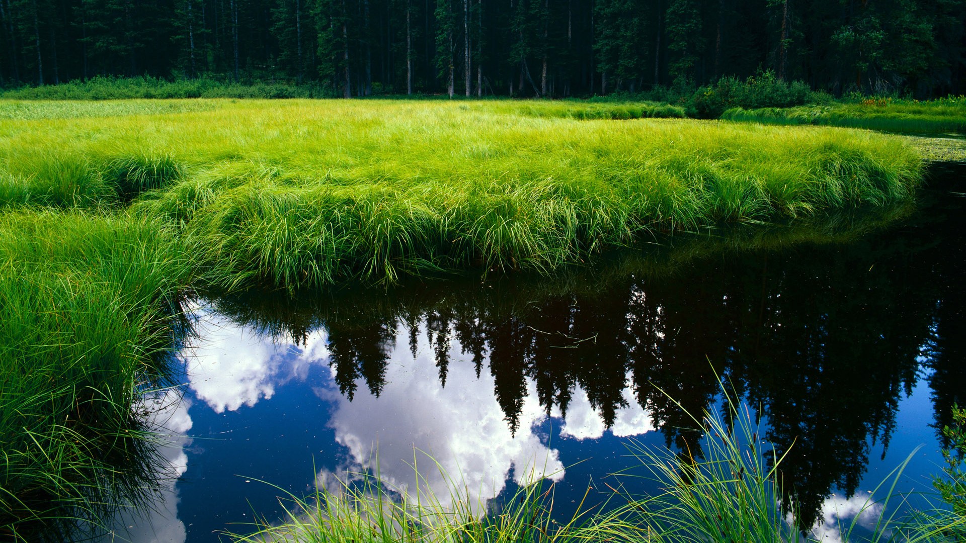 俱乐部青年球员租借方案优化 增加实战机会，球队租借是什么意思